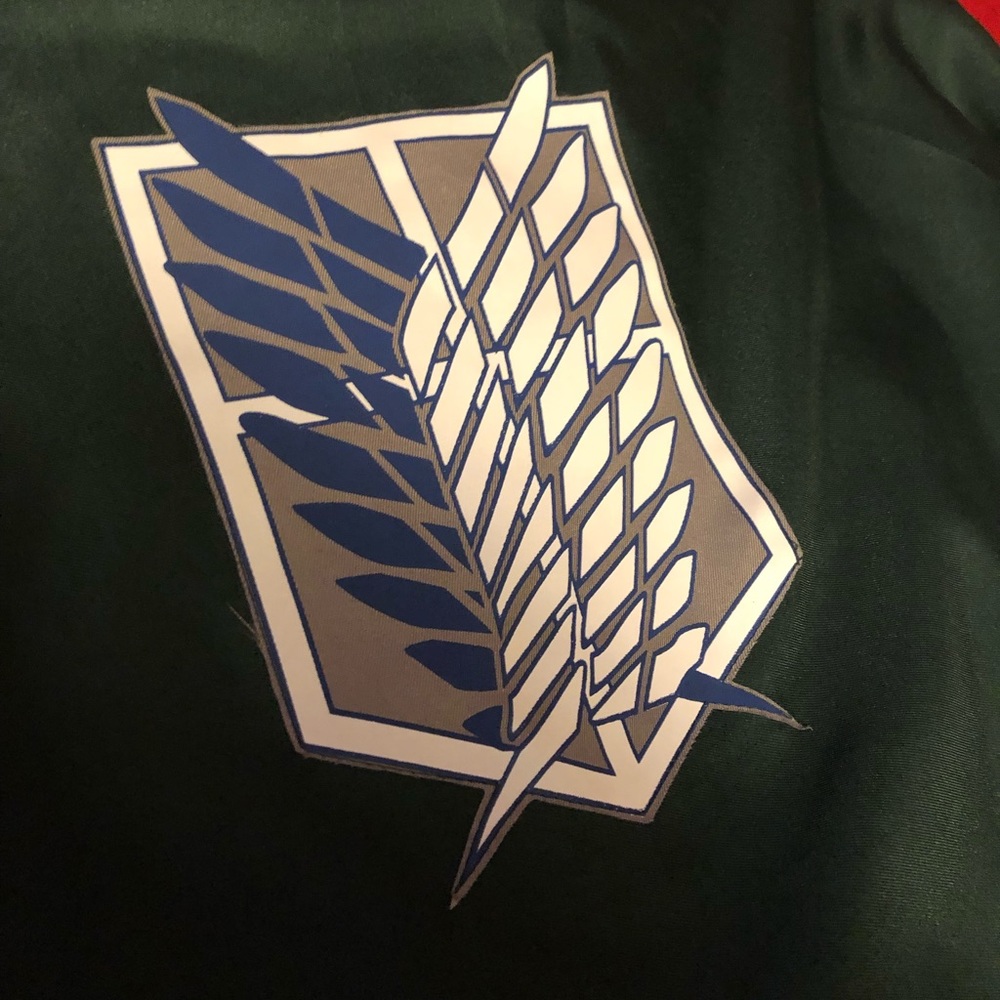 Attack on Titan cape/poncho